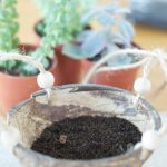 DIY-pot-of-coconut-img005