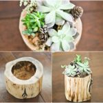 diy-9-original-pots-for-the-garden-img004