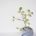 diy-pots-of-felt-img001