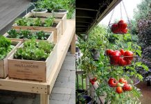 Ideas for garden narrow balconies