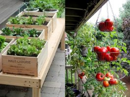 Ideas for garden narrow balconies
