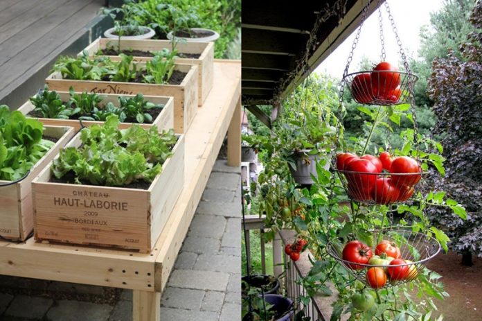 ideas-for-gardening-narrow-balconies-cover