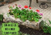 Making a Log Planter for Flowers
