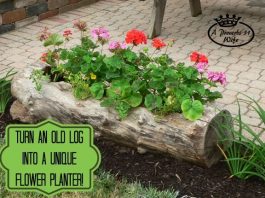Making a Log Planter for Flowers