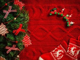 Christmas tree and ideas for the feast of regard with affection – all you need to know