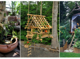 Bamboo – It’s wonderful effect and wonderful decorations to achieve